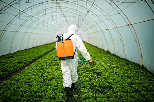 Best Insect Control  in Livingston, CA