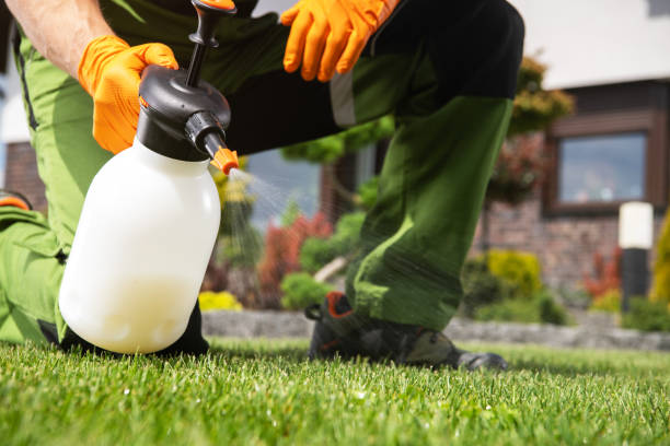 Best Residential Pest Control  in Livingston, CA