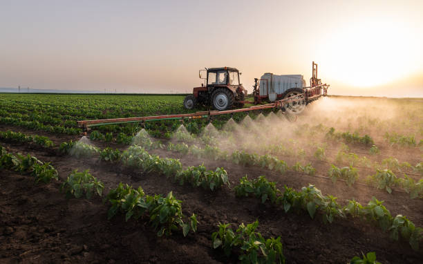 Professional Pest Control in Livingston, CA