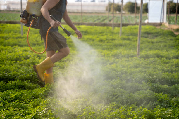 Best Pest Removal Services  in Livingston, CA