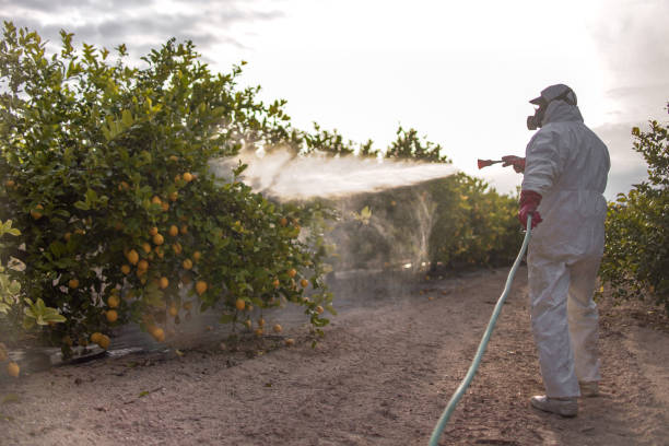  Livingston, CA Pest Control Pros