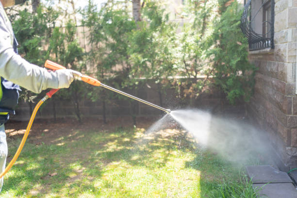 Best Rat Extermination Near Me  in Livingston, CA