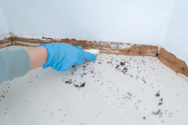 Best Pest Control for Businesses  in Livingston, CA