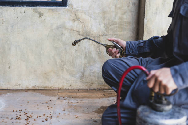 Best Local Pest Control Services  in Livingston, CA