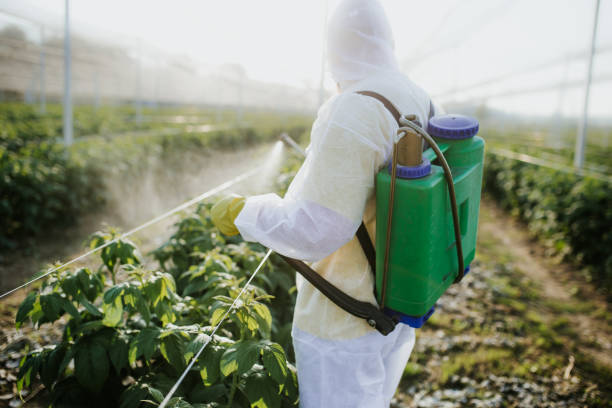 Best Ant Control Services  in Livingston, CA